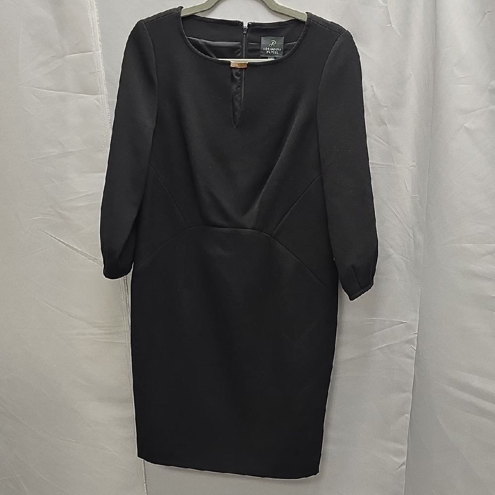 Adrianna Papell Black Long Sleeve Dress